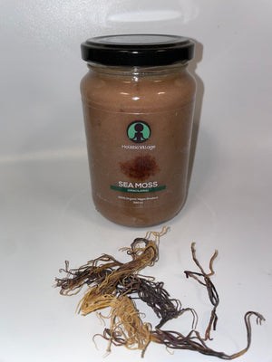 Dr Sebi Mix: Honduran Seamoss (Gracilaria)  with Bladderwrack & Burdock Root)